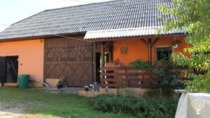 Permaculture and language practice in the Maramures region