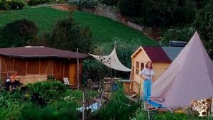 A farm with big fruit and veggie garden, some animals, almost off grid. We host guests and events.