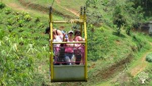 Somos un proyecto de turismo regenerativo con cultivos y huertas organicas