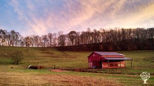 Mission: Train new farmers & feed our community. Organic & regenerative methods. Internships also!
