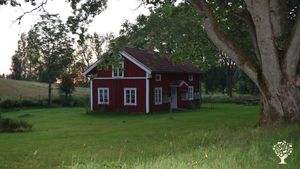 Family Farm at the edge of a nature reserve. Helping Nature Thrive with Gardens, Animals, and Trails