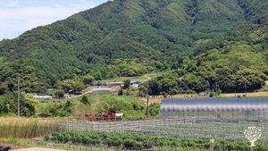 <GG140>생명역동농업을 실천하는 가족농/A family farm practicing biodynamic agriculture