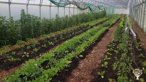 Micro ferme en Agroécologie.