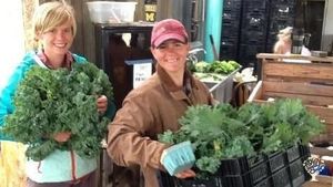 Year-round farm that is a 20 acre peri-urban organic farm with 100+ member CSA in Missouri