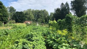 Family farm near Göteborg with market garden and strawbale house. Learn gardening & natural building