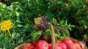 Close to the metropolitan area, but still in a villlage