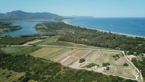 Sa Frisa azienda agricola biologica in Sardegna specializzata nella moltiplicazione delle sementi