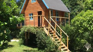 Culture de Plantes médicinales biologiques pour huiles essentielles - Apiculture