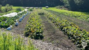 Boarding school with sustainable self-sufficiency for 170 students