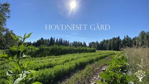 Family home and garden - Self sufficiency