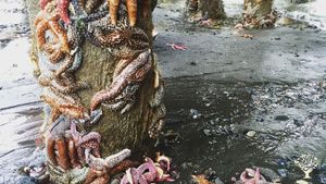 Small family owned organic farmstead with hi tunnels, located in beautiful Homer, Alaska