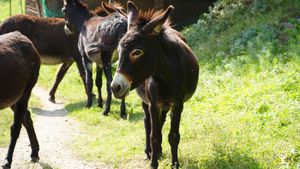 Radici is a laboratory for growing food and people