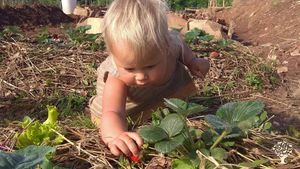 Communal Living Group, Family home and garden - rural, Family farm, Community farm