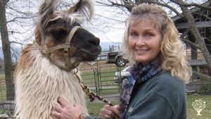 Carolyn is walking with Sinbad, our 17 year old gelding male.  He is a sweetheart!