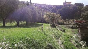 Sustainable living, learning and agriculture in the green heart of Italy