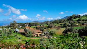 Ecological finca with veggies and fruit garden, animals, events, retreats and visits
