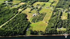 You can't see the veggie gardens or greenhouse because this arial shot is from 2019.  River below.