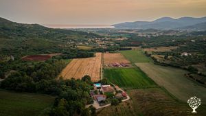 Azienda agricola biologica che pratica agricoltura organica e rigenerativa nel cuore del Cilento