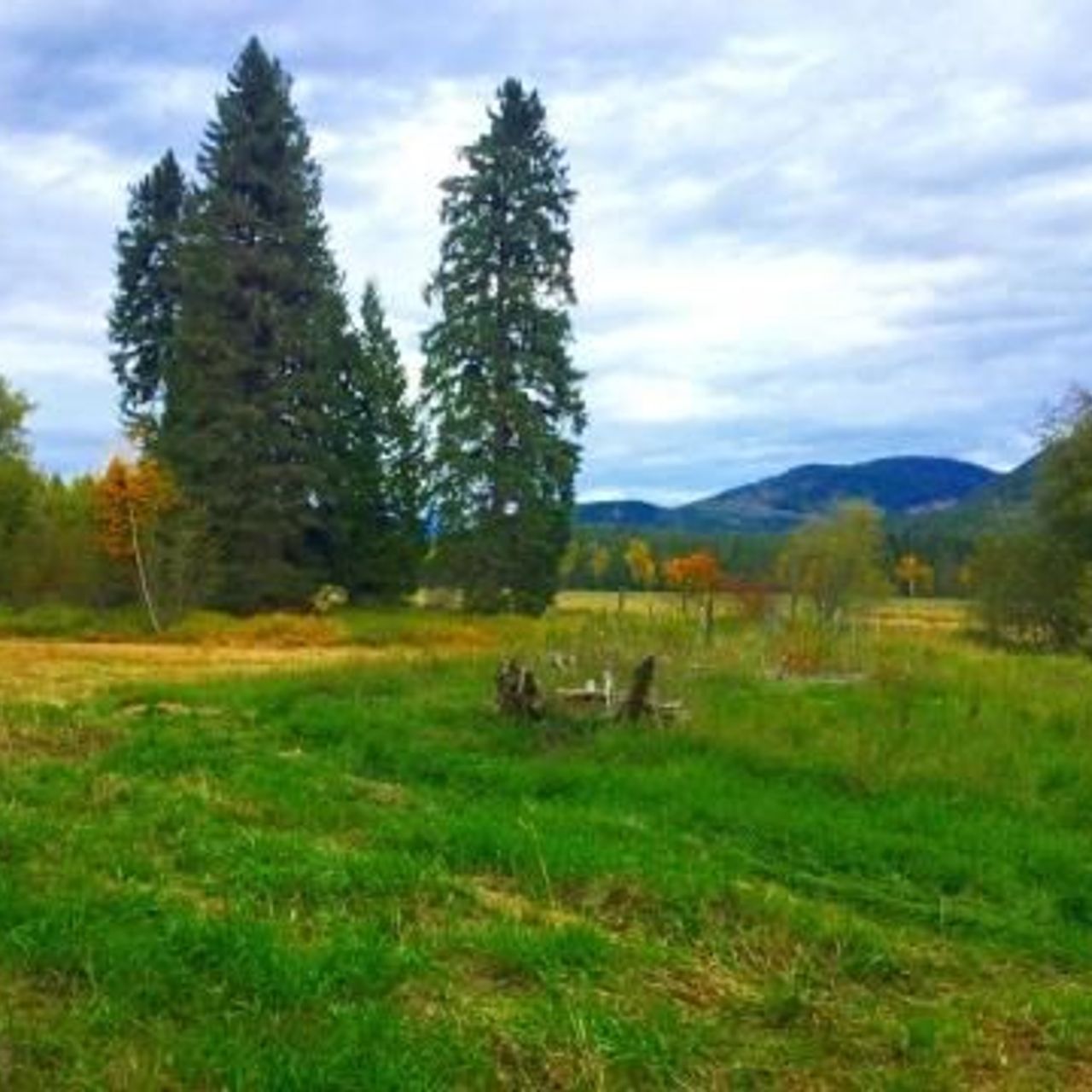 Permaculture Farm in Northeast WA In Transition to an Agricultural Land ...