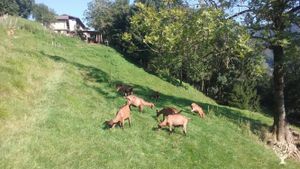 Fattoria di famiglia