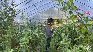 Herbal Tea & Agroforestry + Social Permaculture