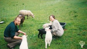 Organic farm, with sheep, fruits and a small vegetable field