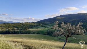 Fattoria non professionale, Allevamento bovini, Allevamento di bestiame, Frutteto, Azienda agricola