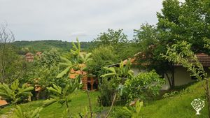 Organic homestead in a mountain village