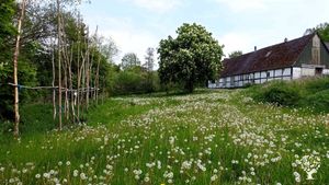 Idyllic,  regenerative, plant-based, community owned farm.