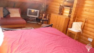 Small plant nursery on West Coast of Scotland