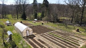 Pod Dračím kamenem