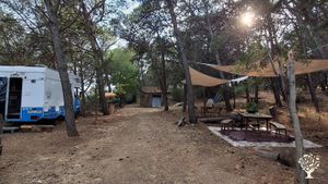 La nostra casa in campagna è immersa nel verde della Sardegna dell'est, precisamente in Ogliastra.