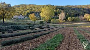 Azienda agricola  dedita principalmente alla coltivazione di piante officinali in biodinamica