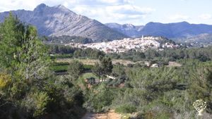 Smallholding, Mixed Farm, Granja con permaccultura