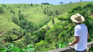 That's the overview of the land. We are reforesting this whole mountain. 