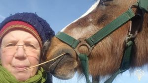 Verbindung Tier Mensch