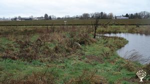 Voedselbos in aanleg, combinatieteelt van (medicinale) kruiden, fruit en groente. Agroforestry