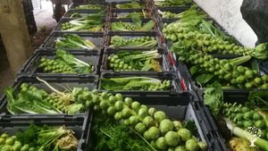 Family farm, Community farm