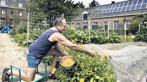 Organic Former Monastery Vegetable Garden and Fruit Orchard