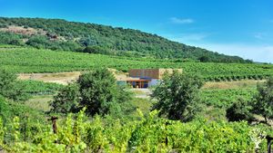 Domaine viticole familial biologique