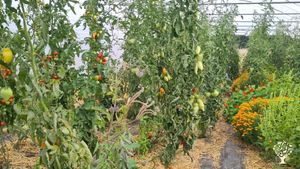 Micro-ferme et habitat communautaire