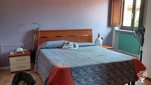 Azienda Agricola biologica con orto frutteto da realizzare e animali