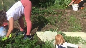 Small family farm in south Czechia