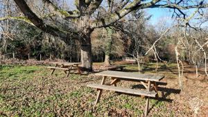 Tables de pique nique sous chênaie. Présence d'une tyrolienne, possibilité de mettre des tentes.
