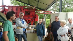 Culture de houblon bio en agroécologie