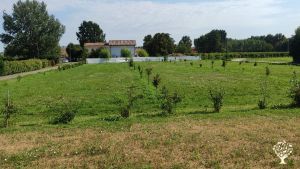 Vista della casa dalla strada di accesso. Il giardino con le piante é in primo piano