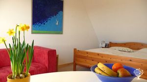 Organic Farm with Market Garden, Orchard and Vineyard on Ærø