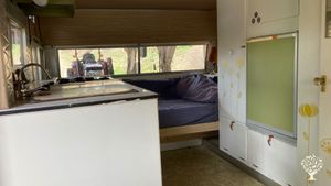 Jardin maraîcher biologique