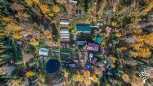 The farm and homestead