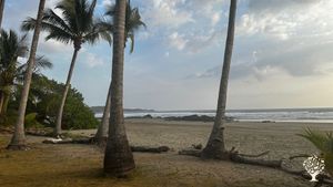 Organic farm at a beachfront hotel